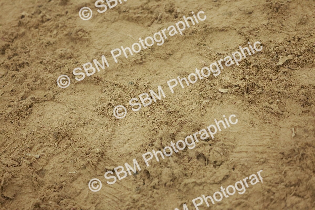 SBM_004986 - Class 6 - Chase Me Charlie