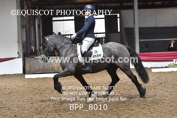 BPP_8010 - ELEM TEST 6