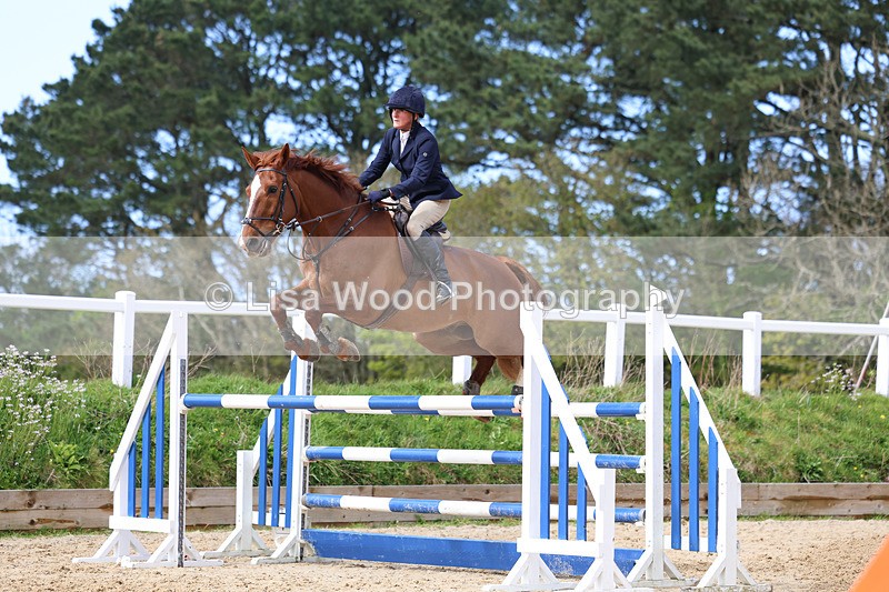 3E7A2108 - Class 8: Senior Foxhunter/1.20 open