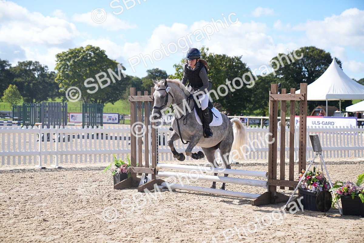 SBM_02494 - J54 Clear Round 45cm