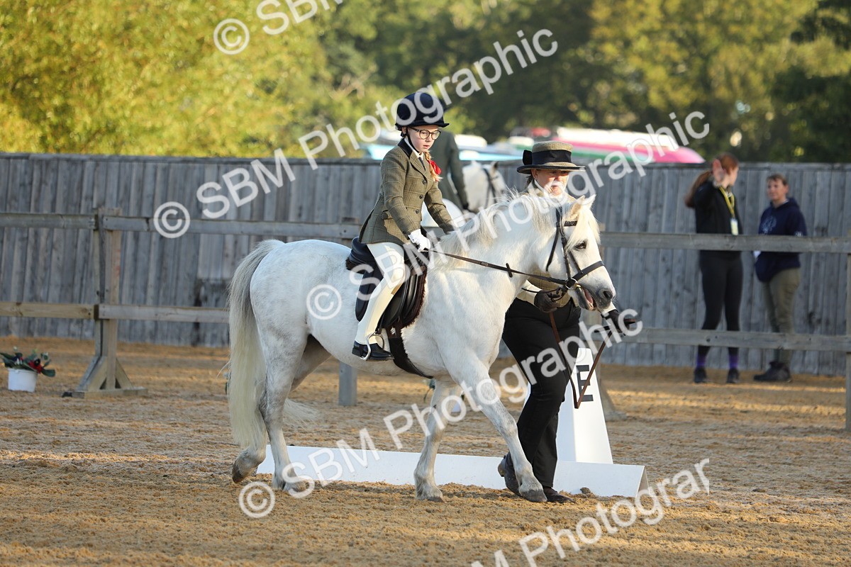 SBM_33590 - D26 - Starers - Lead Rein