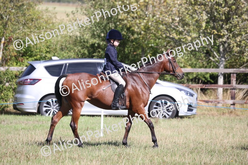 20260906-2153 - Class 16 - Family Pony