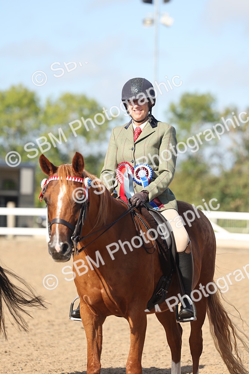 SBM_22346 - Class 803 - Ridden Combination 65+