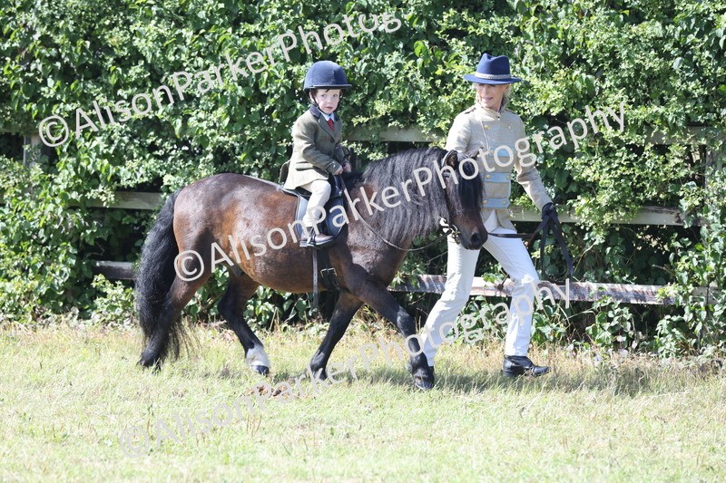 20250831-2603 - Class 17 - Lead Rein Pony