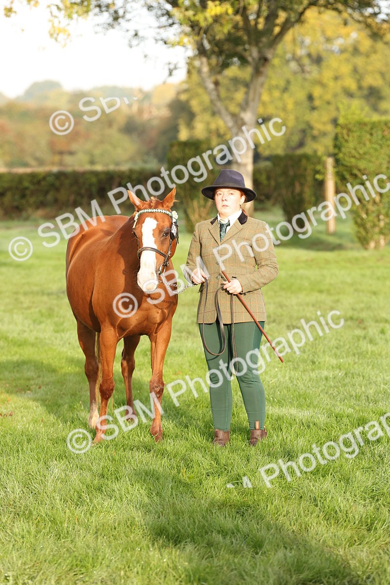 SBM_54442 - S51 - Foreign Breeds In Hand