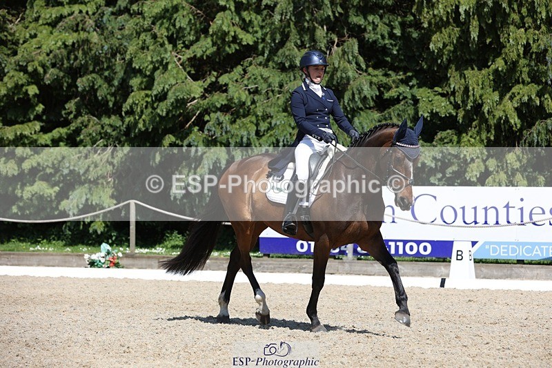 230526-151314-06655 - 379-QUIZICAL_Z-Alice_Hallows-WEDTrotUp+DR