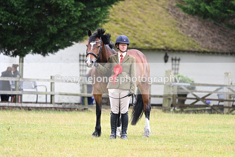 WJ7_6403 - Class 4a Prettiest Mare over 14hh