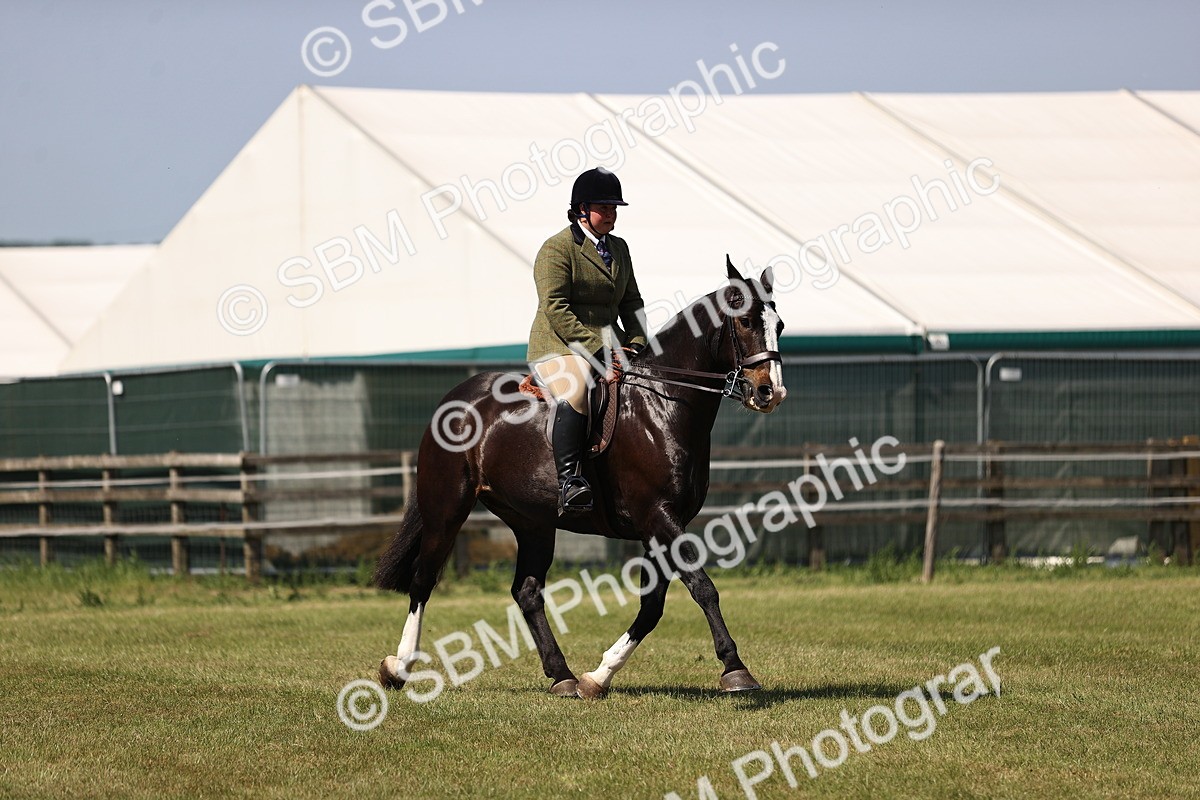 SBM_17921 - Class 81-83 - TSR Ridden Amateur of the Year - Horses