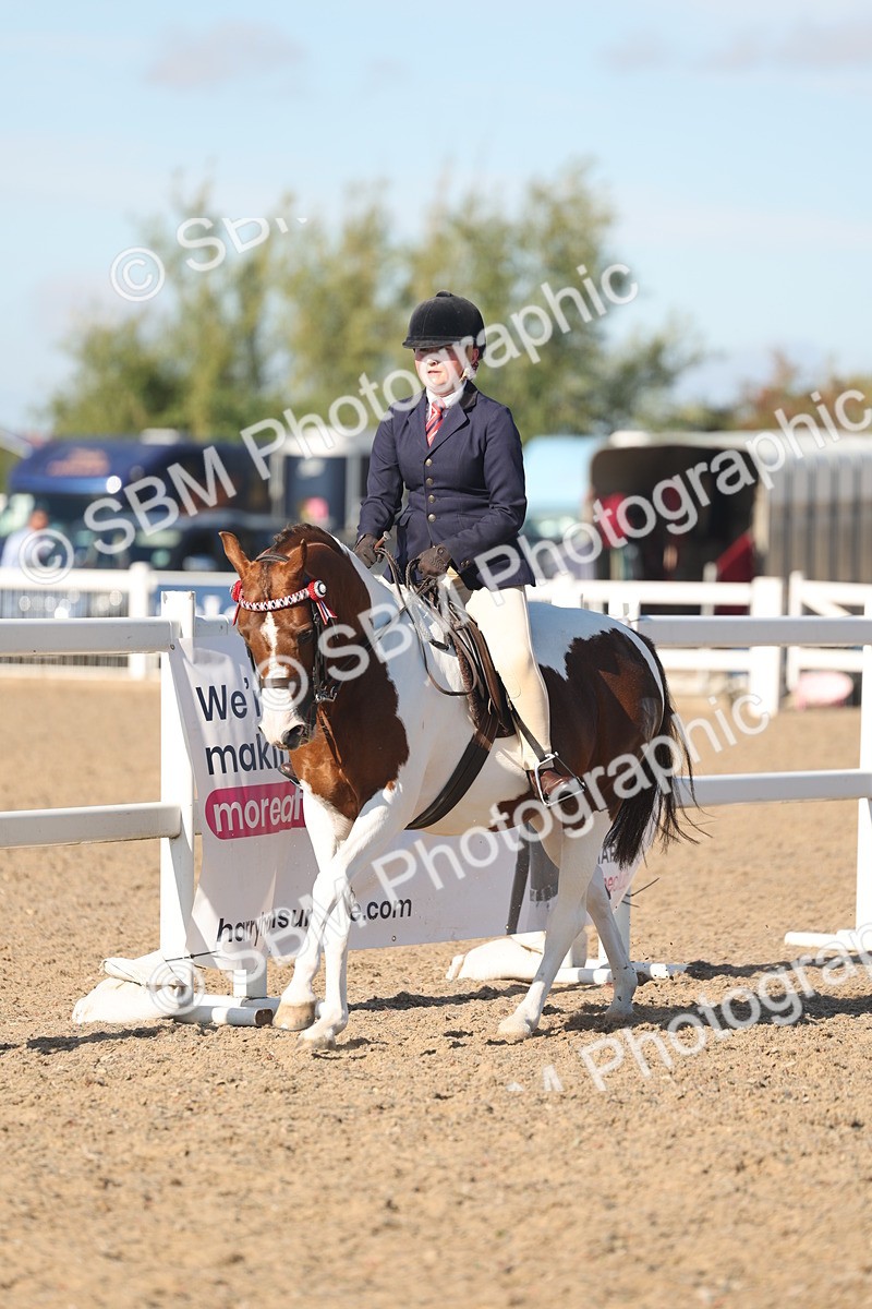SBM_12341 - Class 304 - Ridden part Bred Horse Pony