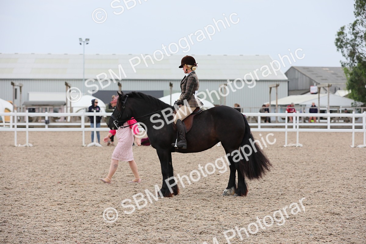 SBM_18079 - Class 316 Best Pony/Rider Combination