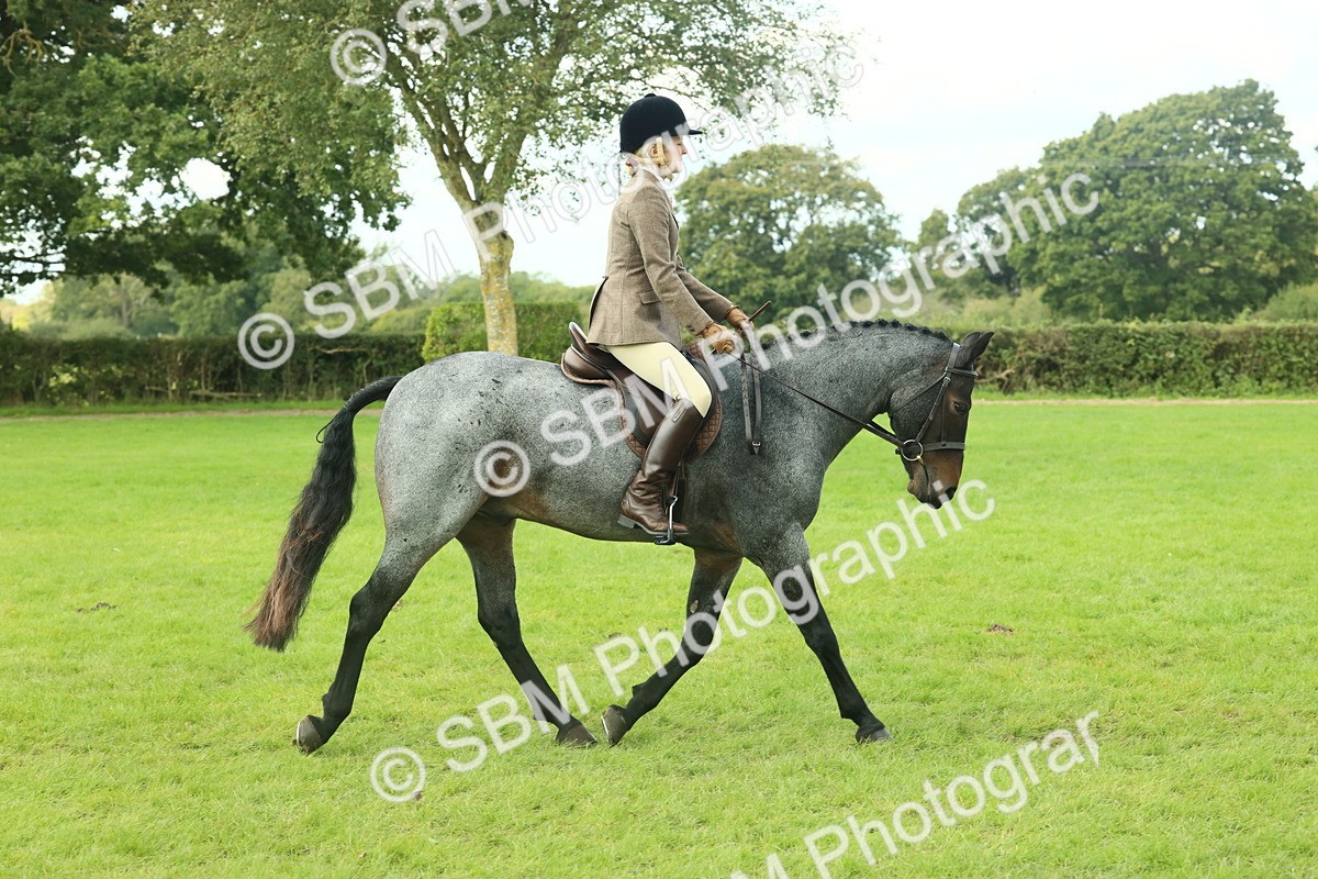 SBM_62590 - S63 - Other Coloured Horse Ridden