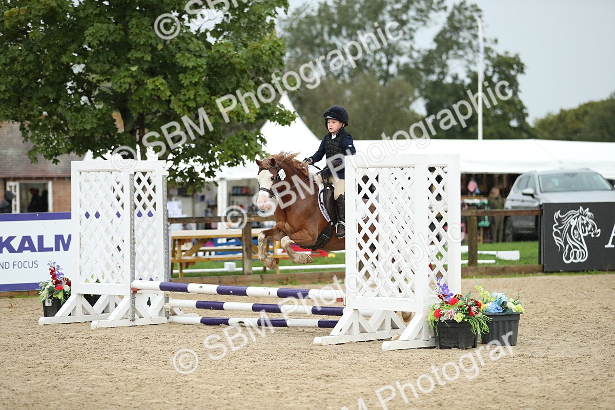 SBM_34522 - J60 Clear Round 50cm