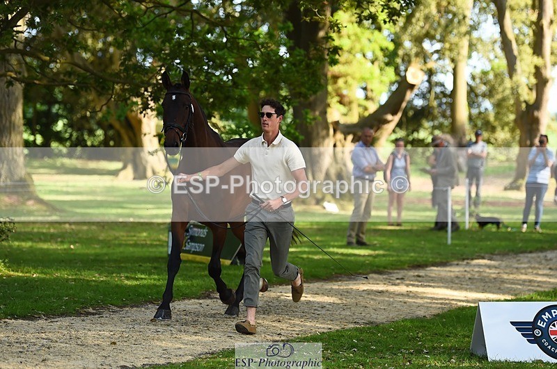 230524-171910-01428 - 176-TENZ-Will_Rawlin-WEDTrotUp+DR