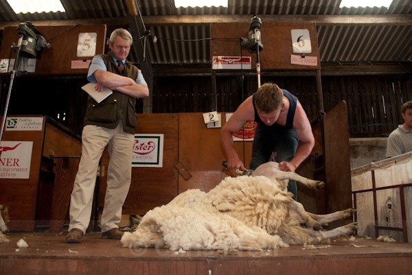 9 - Shearing Competition
