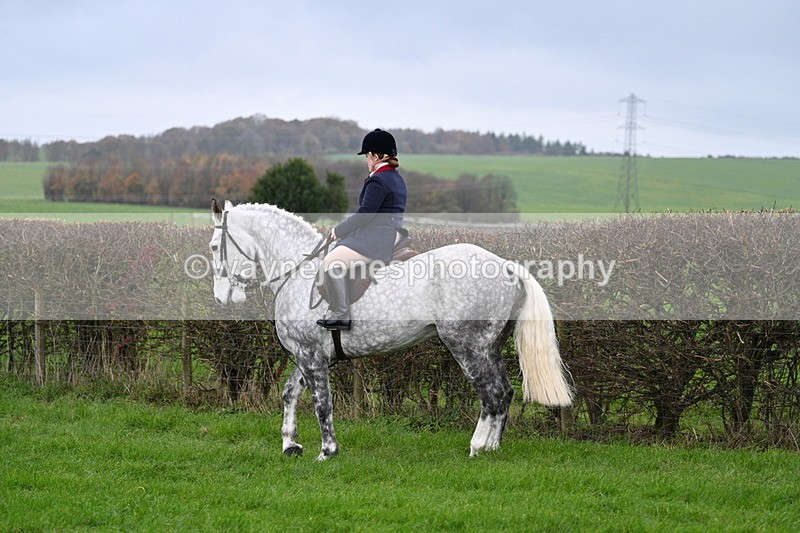 WJ7_8848 - Meet Staff & Hounds