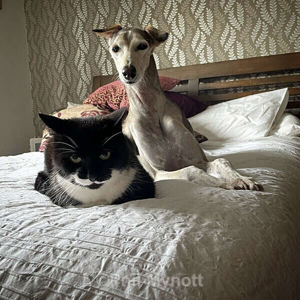 PhotoMynottART108 - Photo Mynott ART Images