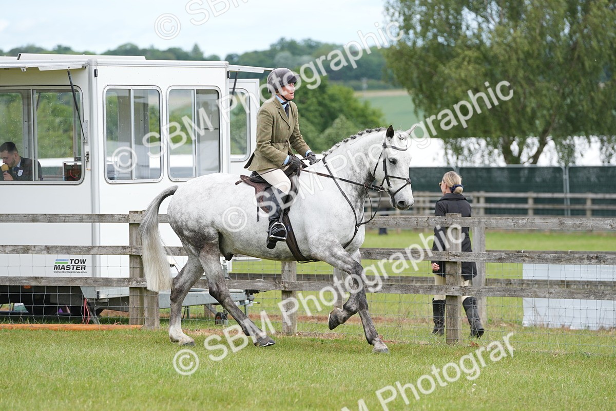 SBM_14879 - Class 100-102 - RIHS Working Hunter