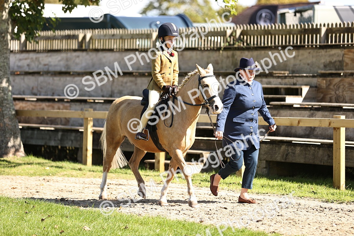 SBM_19232 - S3 - TSR Ridden Pony Showing