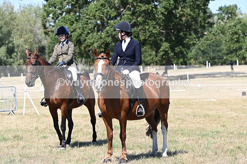 WJ6_8425 - Class 37a Best Loan Pony Ridden