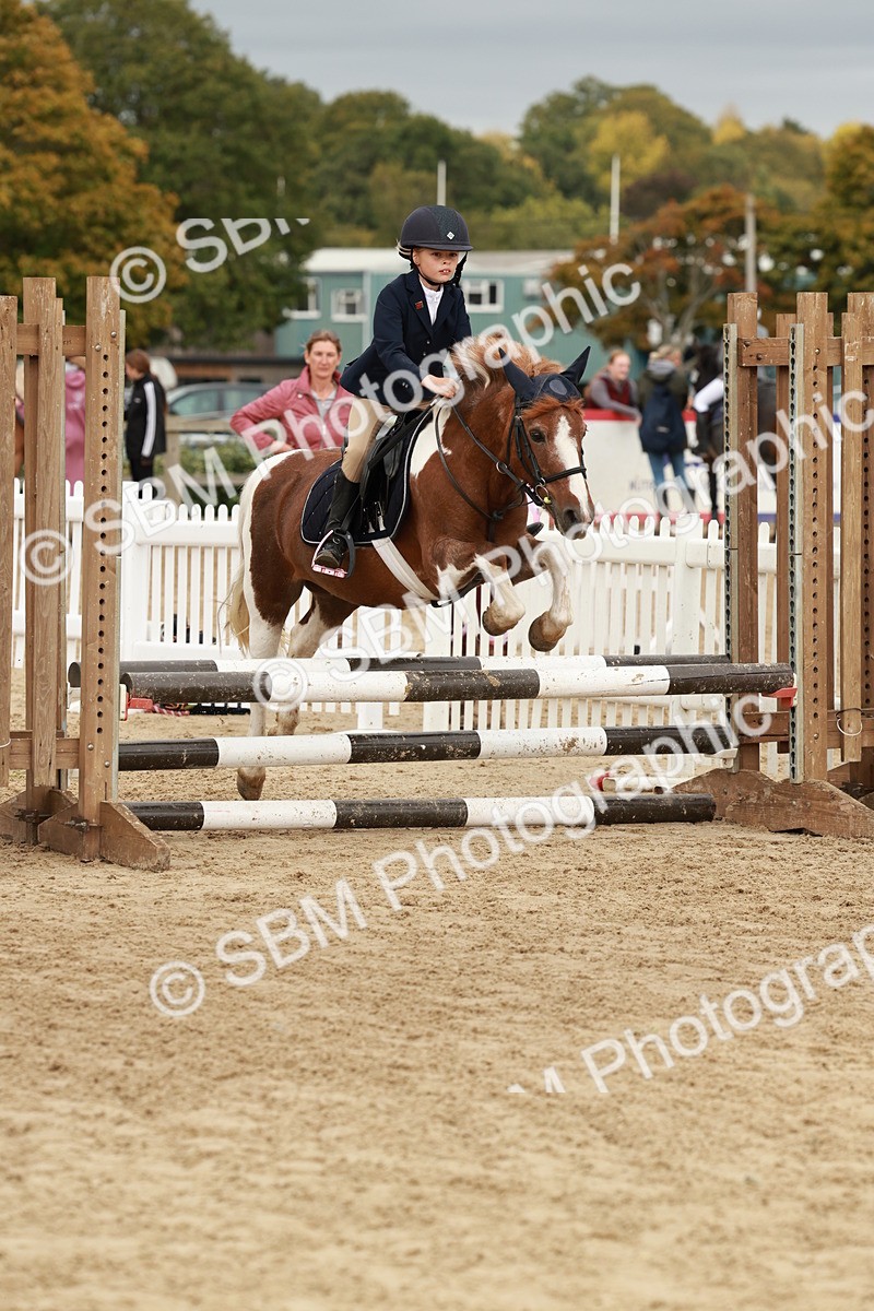 SBM_66979 - J13 - Junior Pony 60cm Championship