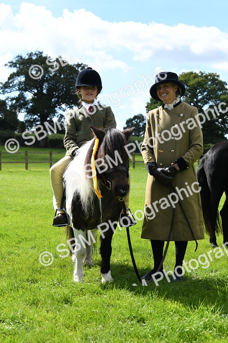 SBM_42680 - S20 - Lead Rein Mountain & Moorland Pony