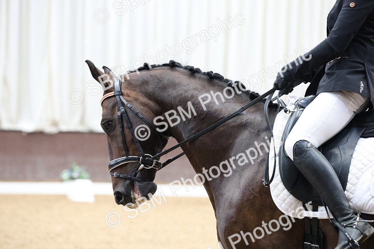 SBM_007069 - Class 22 - Medium 5 Silver