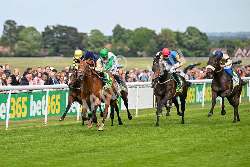 240525-Race 3-Old Is Gold-0877 - Race 3