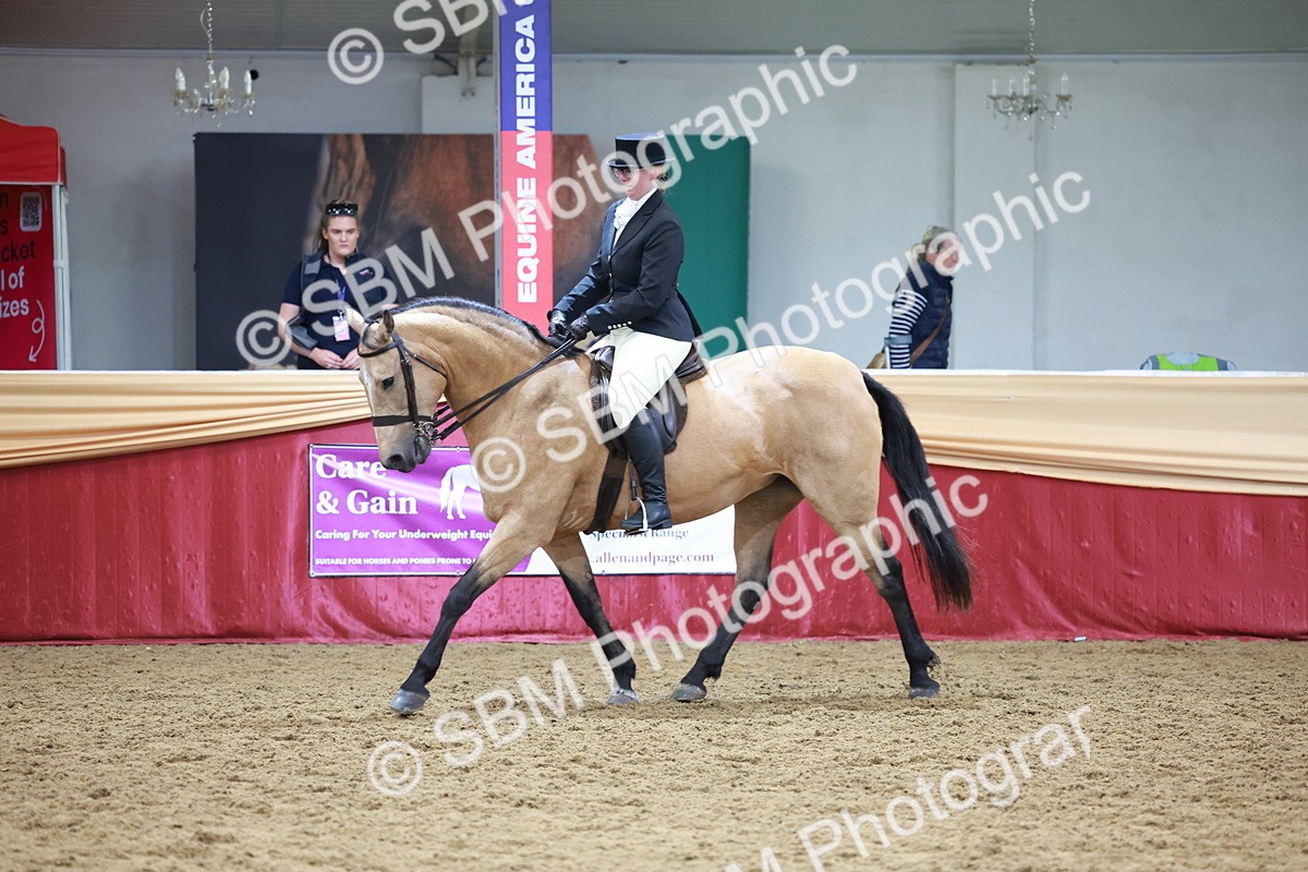 SBM_18799 - Class 952 - M&M Ridden Supreme Final