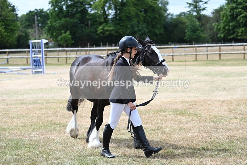 WJ7_1664 - Class 4 Prettiest Mare up to 14.2hh in hand