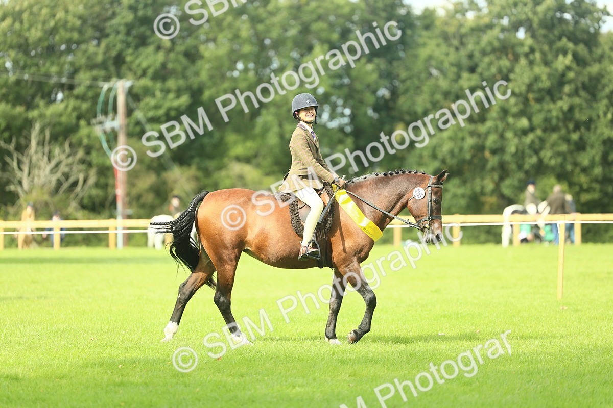 SBM_44872 - Working Hunter Pony Supreme Championship