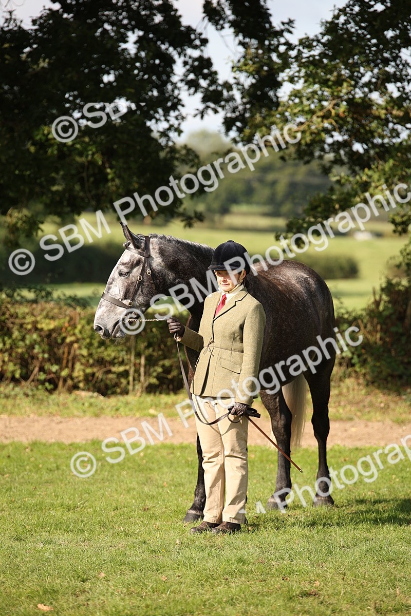 SBM_60131 - S53 - Hunter In Hand