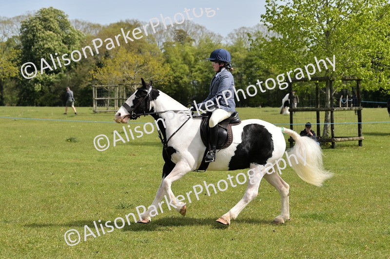 20260426-2327 - Class 20 - Beginner Working Hunter