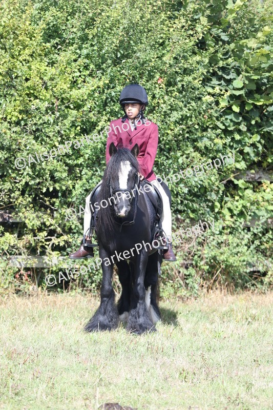 20250831-2520 - Class 16 - Family Pony