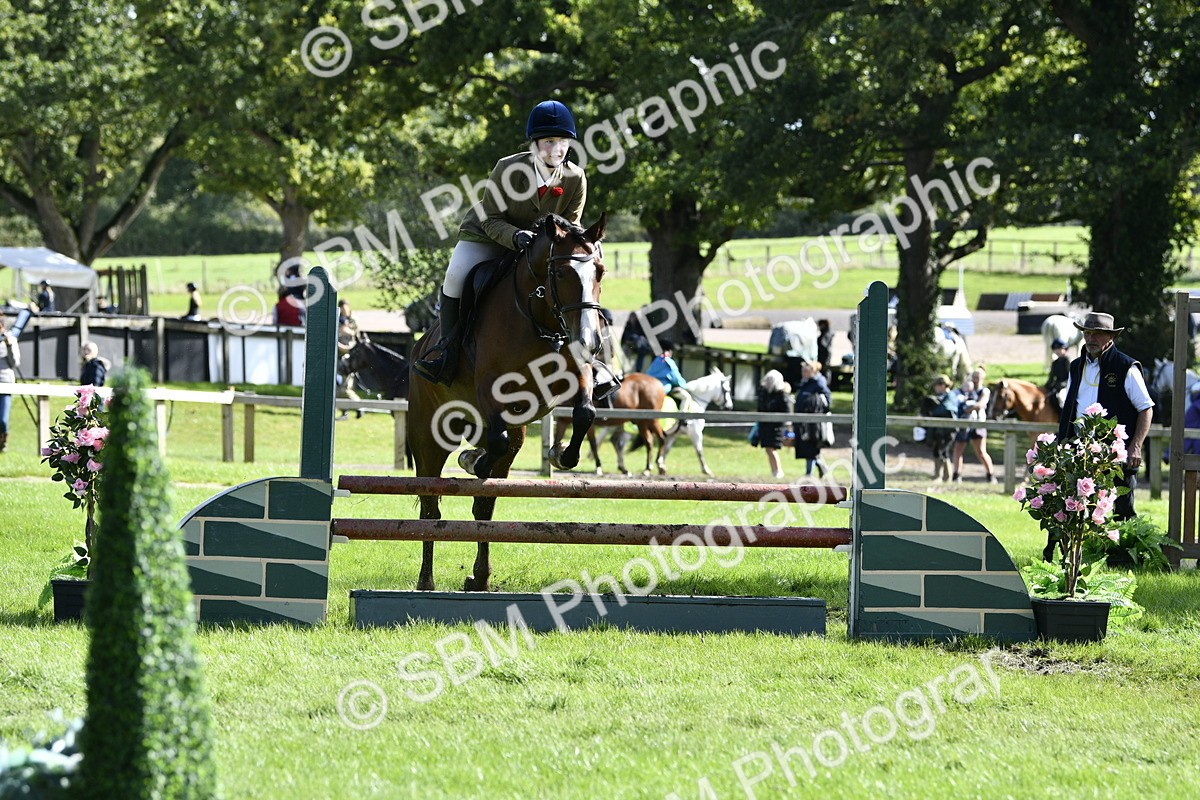 SBM_45732 - S33 - Working Hunter Pony
