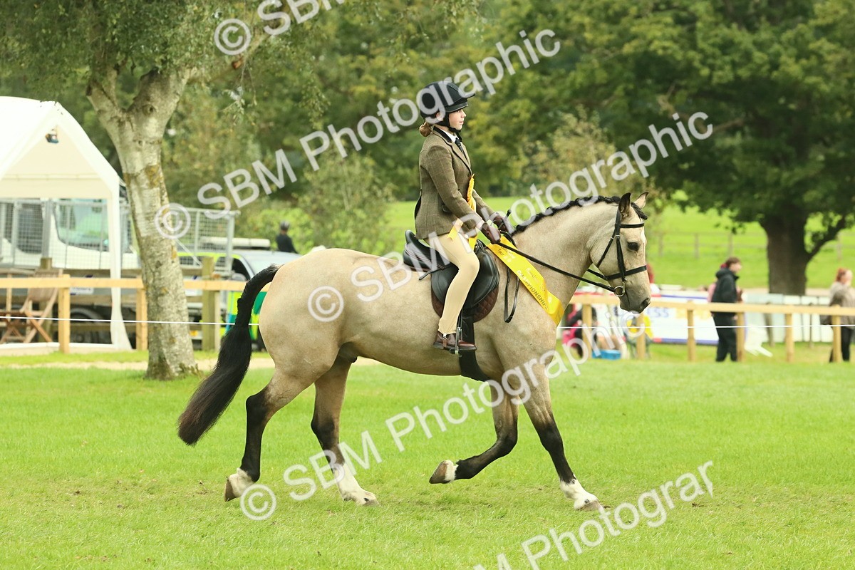 SBM_74991 - Ridden Pony Supreme Championship