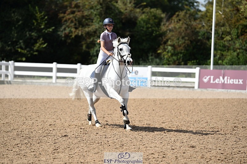 230903A-120910-04385 - Cls 19 Pony Discovery & 90cm Open