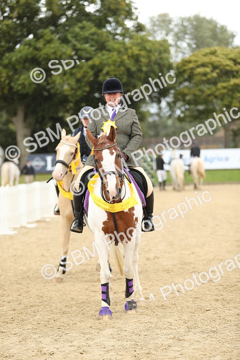 SBM_10019 - J36 - Veteran Rider 70cm