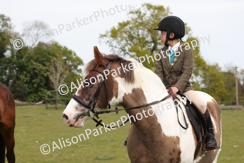20260426-4391 - Class 34 - Best Riding Horse Over 14.2hh