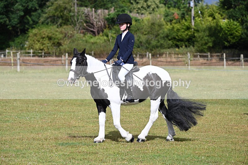 WJ6_8499 - Class 9 Tack & Turned out