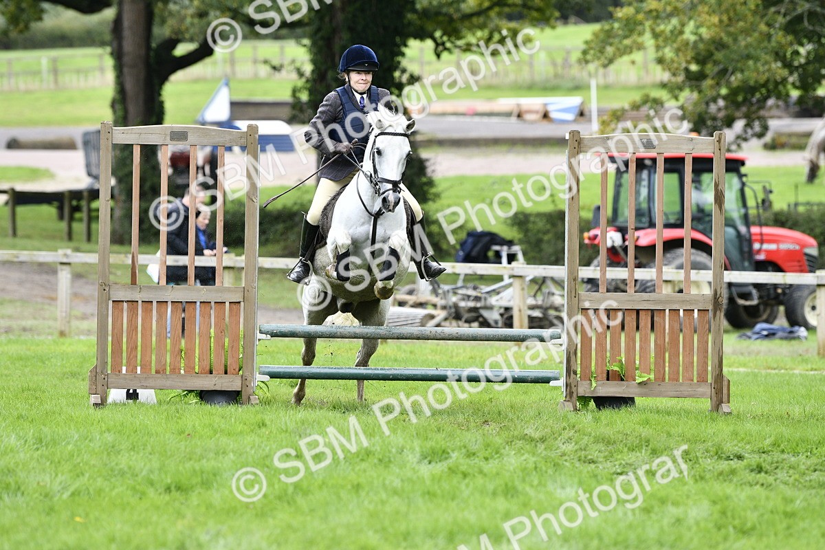 SBM_41301 - S32 - Mountain & Moorland Working Hunter Pony