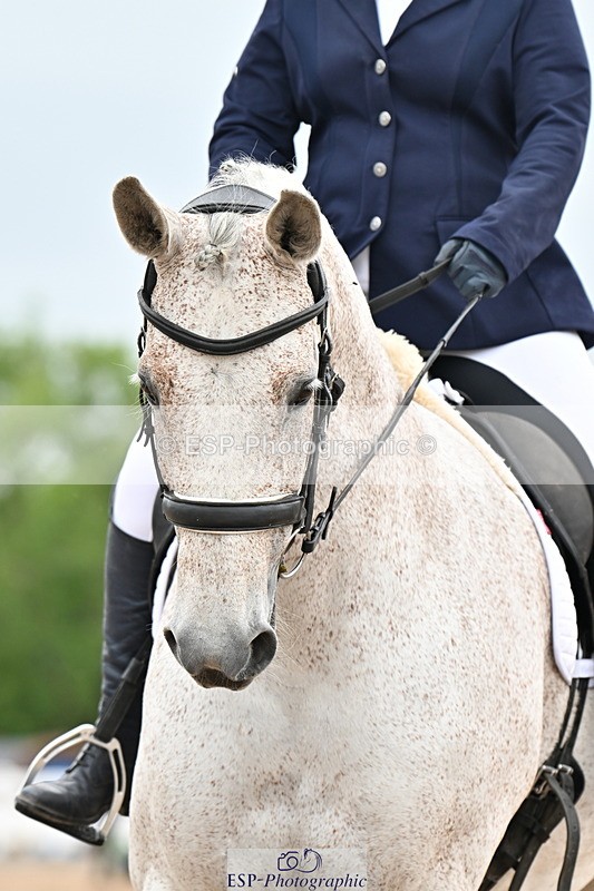 240623A-113713-17536 - Cls 48 BD Novice 37A