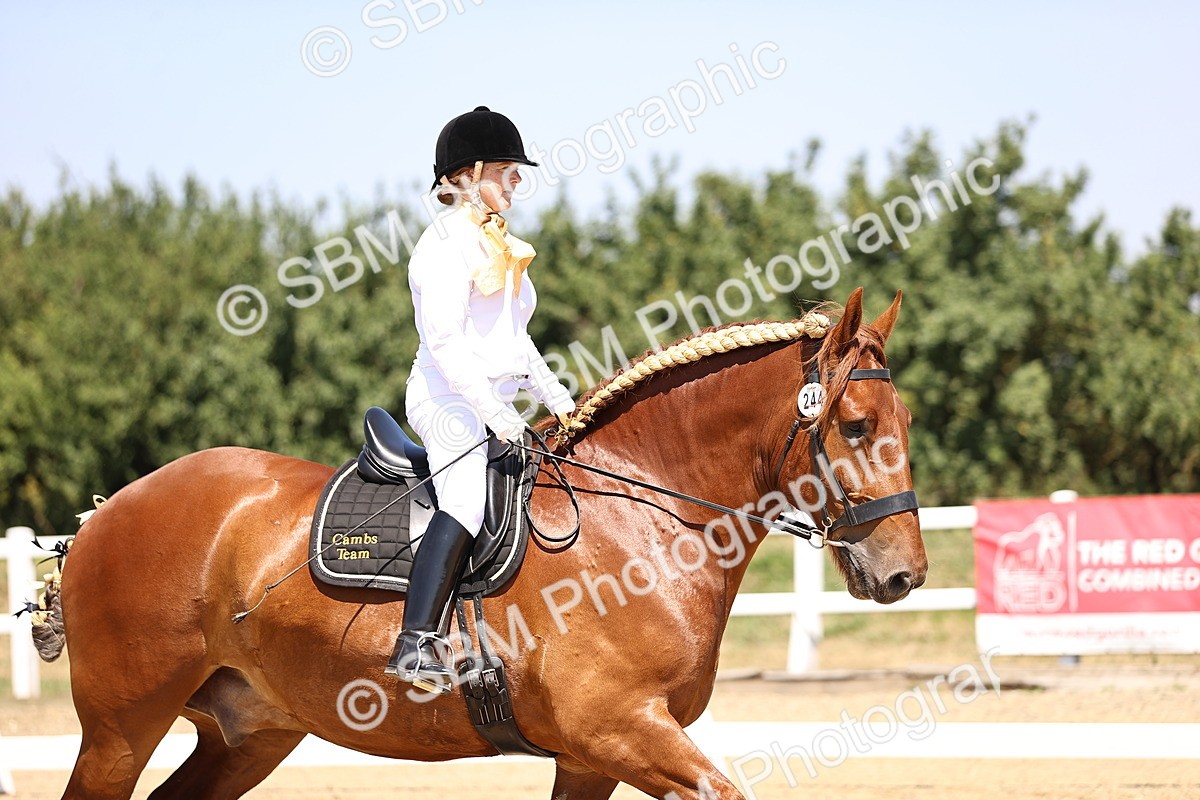 SBM_004126 - Intro 2