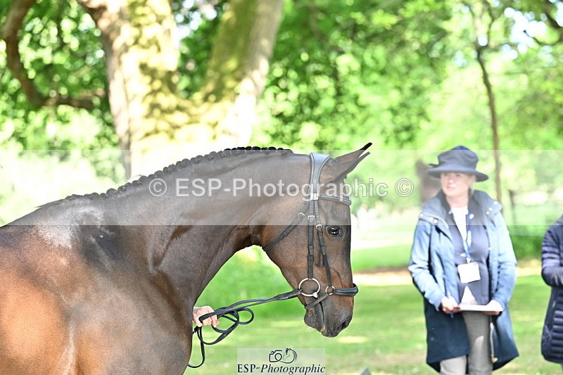 250521A-165818-01442 - C-275-Kat.Raybould-ROYAL.CATCH