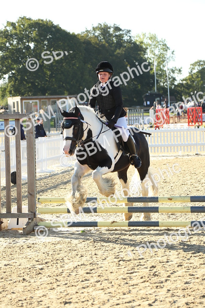 SBM_35063 - J5 - Junior Pony 50cm Championship