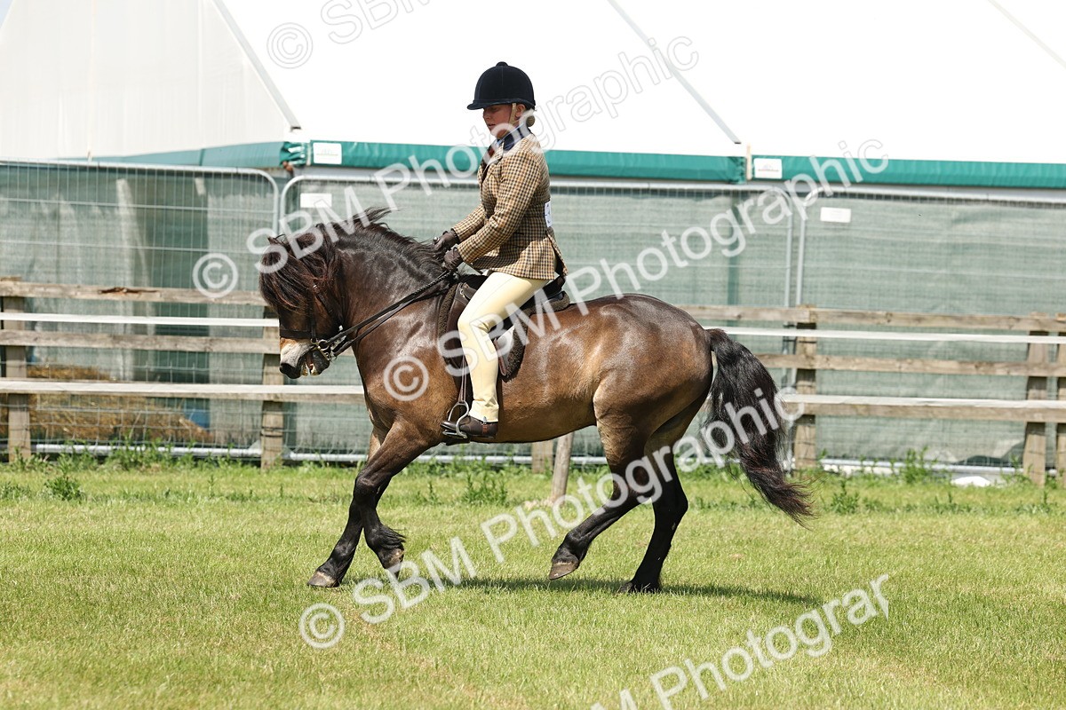 SBM_06843 - Class 26-30 - Mountain and Moorland Ridden