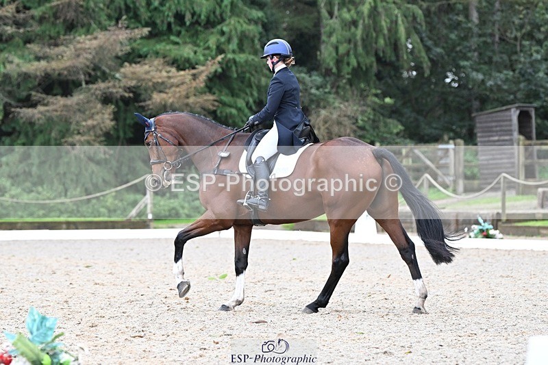 231019-113854-01864 - 040-DODINGTON-Sophie.Wildern-DR