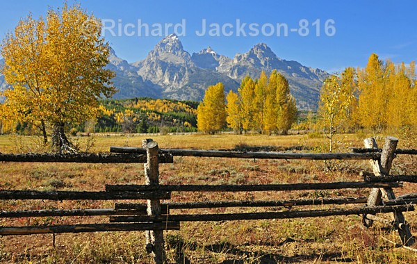 Fenced-in Peaks - Grand Teton National Park