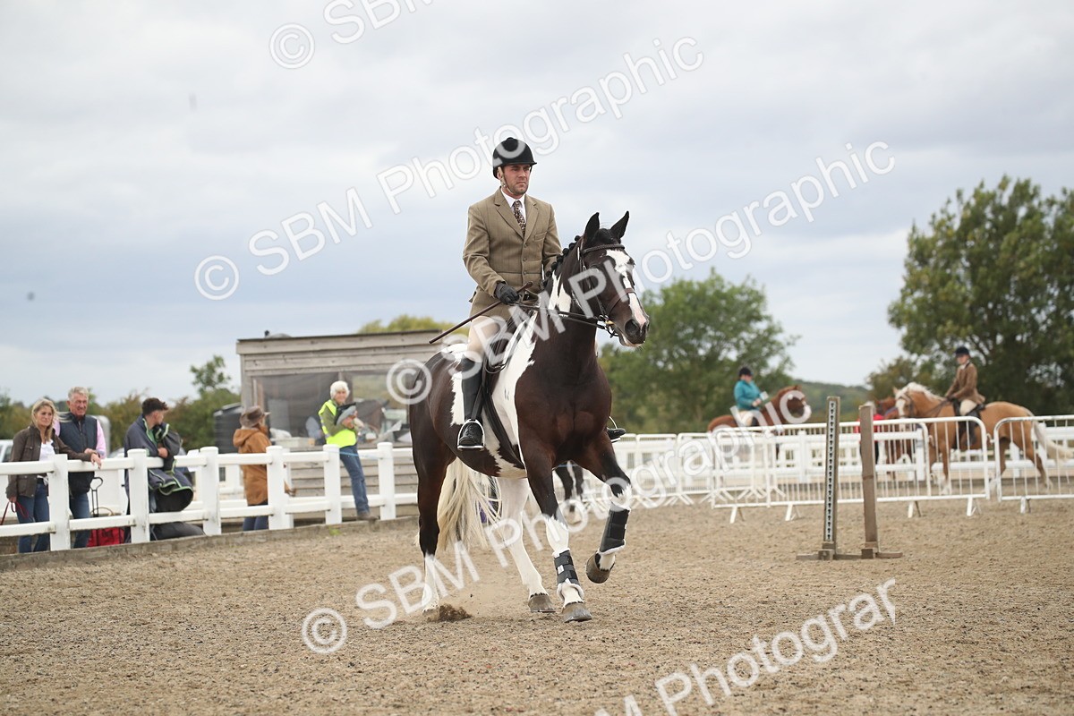 SBM_18285 - Class 509a - Working Veteran - 80cm (15-19)