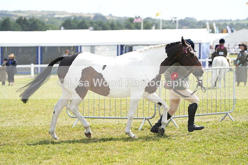 DSC07188 - Coloured Horse In Hand Championship