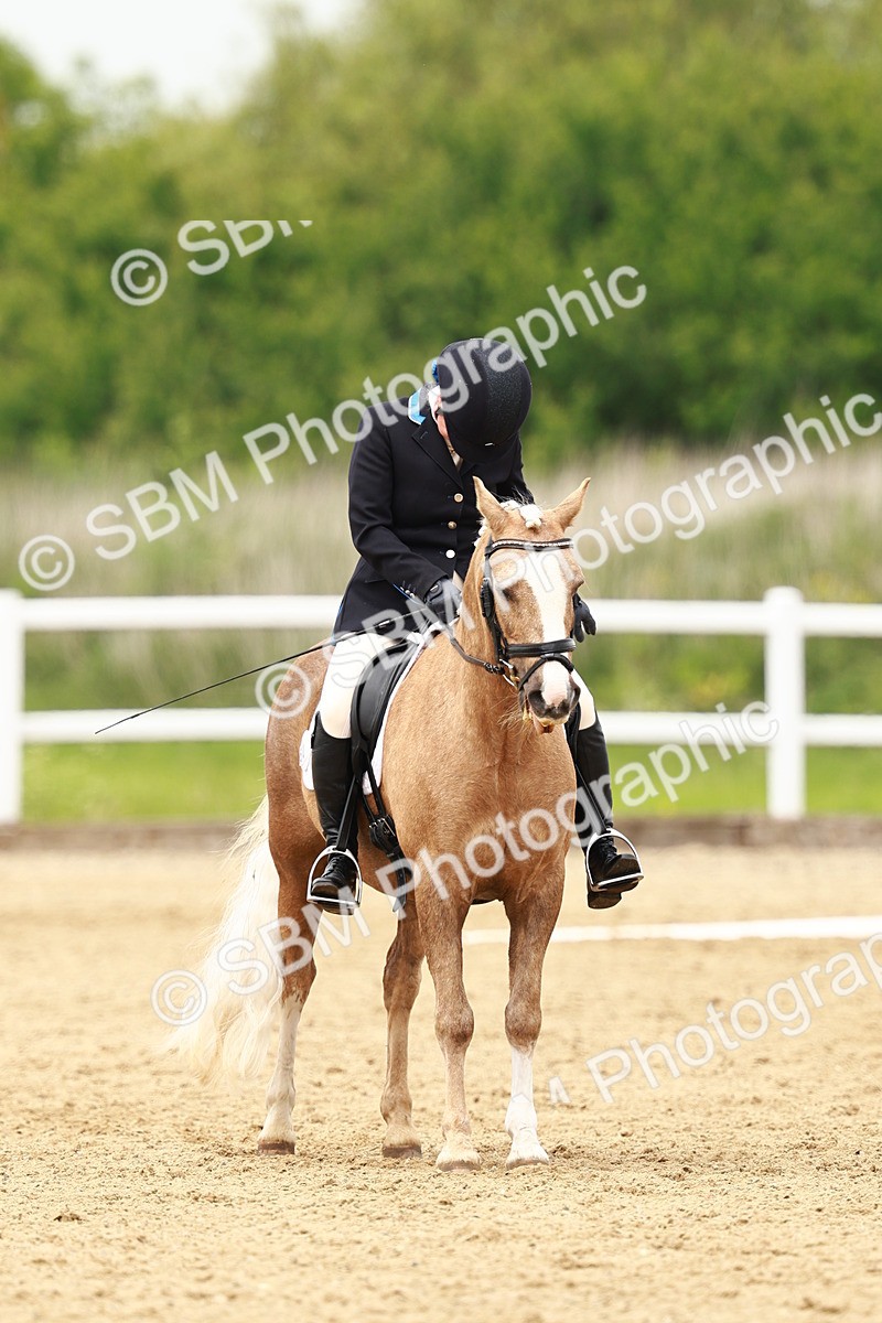 SBM_001787 - Class 7 - Novice 5